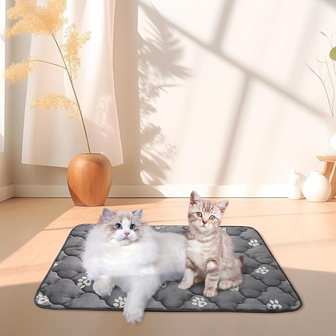 BINGPET 4 Pcs Self Warming Cat Bed, Warm Thermal Self Heating Mat for Indoor/Outdoor Cats, Dogs & Kittens - 16" 20"
