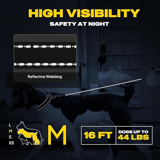 Fida Heavy Duty Retractable Dog Leash,16 ft Dog Walking Leash for Small Medium Dogs up to 44 lbs, Tangle Free. (Medium, Teel)