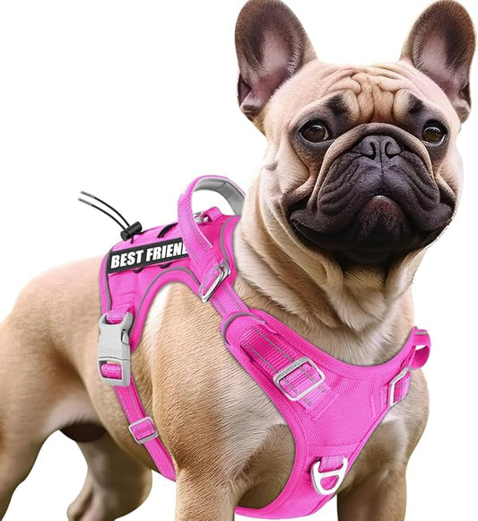 BARKBAY Service Dog Vest Tactical Dog Harness Medium Large Sized Dog Tags Personalized No Pull Adjustable Harness Reflective K9 Working Training Easy Control Military Molle System(Pink,S)