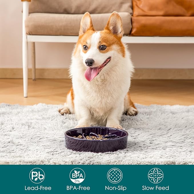 vancasso Ceramic Slow Feeder Dog Bowls, Puzzle Dog Food Bowls with Floral Maze, Anti -Slip Pet Food Dish for Medium Breed, 1.5 Cups, Purple