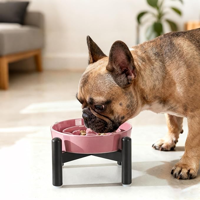 Elevated Slow Feeder Dog Bowl - Ceramic Maze Dog Food Bowl with Stainless Stand - Raised Slow Feeder for Small Breeds to Control Eating Speed - 6.3 Inch - 0.8 Cups (80g) - Pink