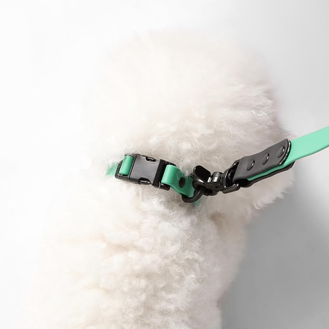 WLK1004K-5SET Luna Small 8FT Adjustable 6-in-1 Waterproof Hands-Free Leash and Collar with LED Flashlight, Bag Dispenser, and Poop Bag Holder, Julep