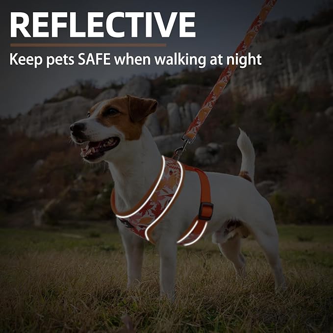 PUPTECK Soft Mesh Dog Harness and Leash Set Pet Puppy Cat Comfort Padded Vest No Pull Harnesses, Orange Leaf, S