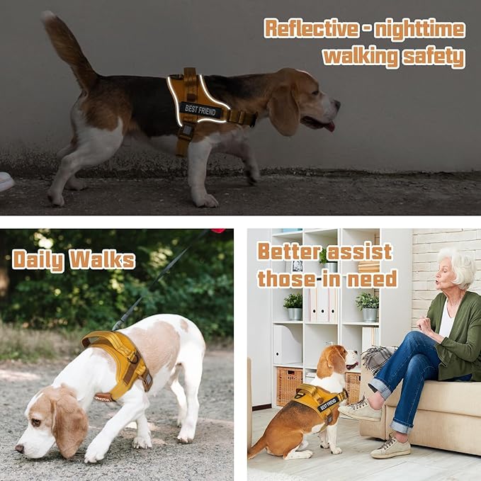 AUROTH Dog Harness and Leash Set, Soft Padded Dog Vest with 5.25FT Dog Leash, No Choke, Easy On Pet Vest, Adjustable Reflective No Pull Dog Harness for Large Dogs, Easy Walking and Training