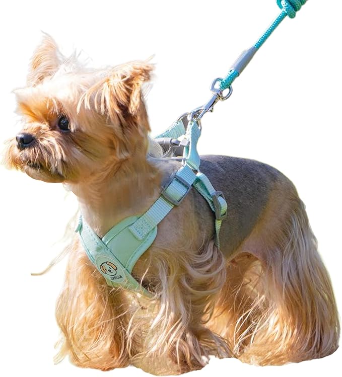 Dog Harness with Leash Set, Puppy Soft Vest No Choke No Pull, Adjustable Neck and Chest, Lightweight Harness and Anti-Twist Pet Leash Combo for Small to Medium Dogs (Green, M-Medium)