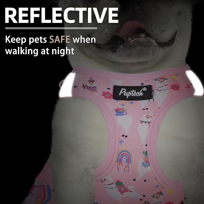 PUPTECK Dog Harness and Leash Set for Small Medium Dogs No Pull Step-in Soft Mesh Puppy Cat Vest Harnesses Reflective at Night, LightPink Print, S
