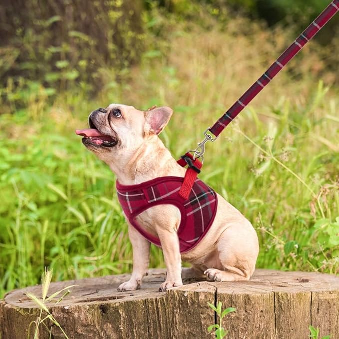 PUPTECK Soft Mesh Dog Harness and Leash Set Step-in Plaid Puppy Padded No Pull Vest Harness for XS Small Medium Sized Dogs Cats Outdoor Walking