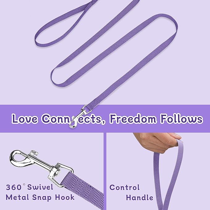 Small Dog Harness and Leash Set, Reflective Soft Breathable Mesh Vest, 3 Buckles, Adjustable Neck and Chest,Step in Dog Harness for Walking, Running, Training, Purple, M