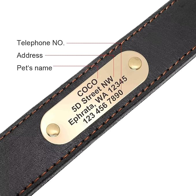 Didog Genuine Leather Dog Collars with Engraved Nameplate, Personalized Soft Leather Dog Collar with Custom ID Tag, Brown/Green/Red for Medium Large Dogs (XL,Black)