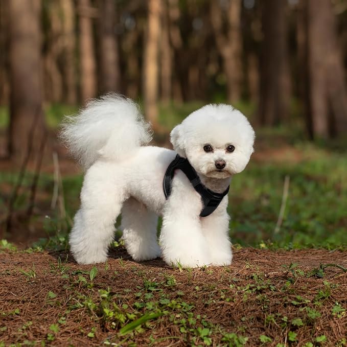 Dog Harness and Leash Set, No Pull Mesh Puppy Harness for Small Medium Sized Dogs, Pet Vest for Walking Running Training, Double D-Rings Reflective Strip