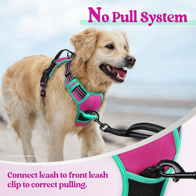 rabbitgoo Dog Harness No Pull with 2 Leash Clips, Adjustable Soft Padded, Reflective Oxford No Choke Pet Vest with Easy Control Handle for Large Dogs, Hot Pink & Turquoise, S