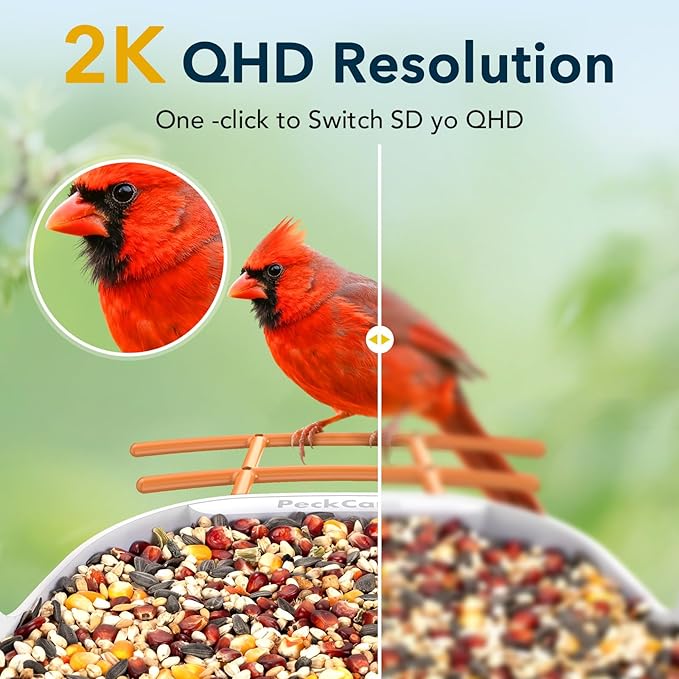 Smart Bird Feeder with Camera 2K Live Real-Time Alert AI Identify with 32G Card DIY Attachments Camera Bird Feeder Solar Powered Wireless Outdoor Birdwatching Gift for Birds Lover, Orange