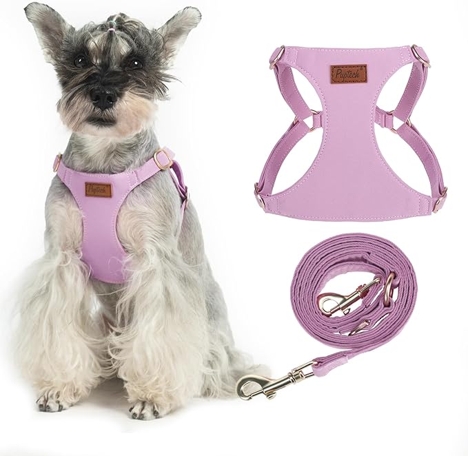 PUPTECK Dog Harness and Leash Set Small Sized, Step-in Cute Puppy Harness, Soft Lightweight Padded Vest, Escape Proof No Pull Pet Harnesses Easy for Walking, Purple, M