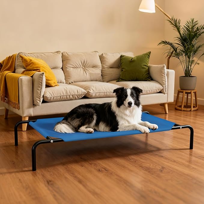 Elevated Dog Bed Waterproof Outdoor Pet Cot Cooling Dog Cot, Raised Bed for Large Dogs with Washable Breathable Mesh, No-Slip Feet, 50.8 x 31 x 8 inches, Blue