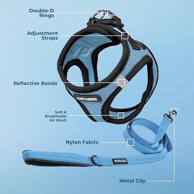 Voyager Step-in Air All Weather Mesh Harness and Reflective Dog 5 ft Leash Combo with Neoprene Handle, for Small, Medium and Large Breed Puppies by Best Pet Supplies - Baby Blue/Black Trim, Small