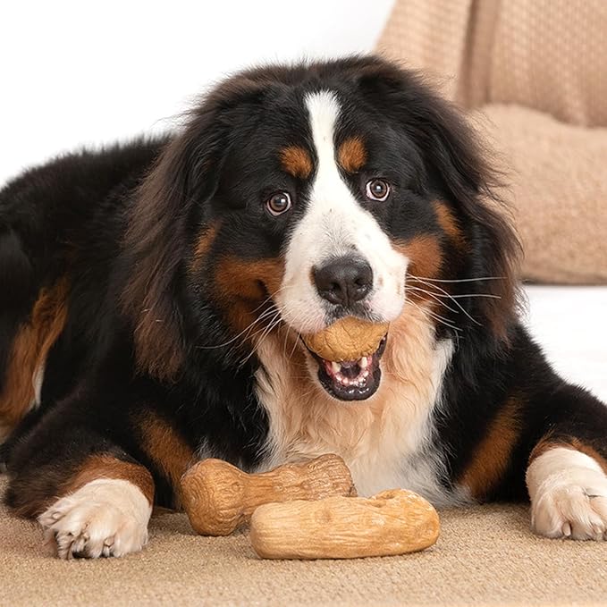 Willjoy 3-Pack Dog Toys for Aggressive Chewers, Chew Toys for Aggressive Chewers, Pine Wood & Nylon, Bacon Flavor Aggressive Chew Toys for Large Dogs, Long Lasting Dog Chews Alternative to Real Sticks