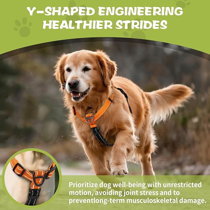 No-Pull Harness,Y-Shaped Design,Buckle-Neck Balance Harness with Reflective Stitching, Ideal for Dog Training and Night Walking, Padded Handle, Durable High-Tensile Nylon-Orange-S
