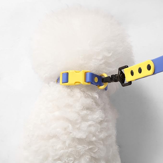 WLK1004C-5SET Luna Small 8FT Adjustable 6-in-1 Waterproof Hands-Free Leash and Collar with LED Flashlight, Bag Dispenser, and Poop Bag Holder, Curaçao