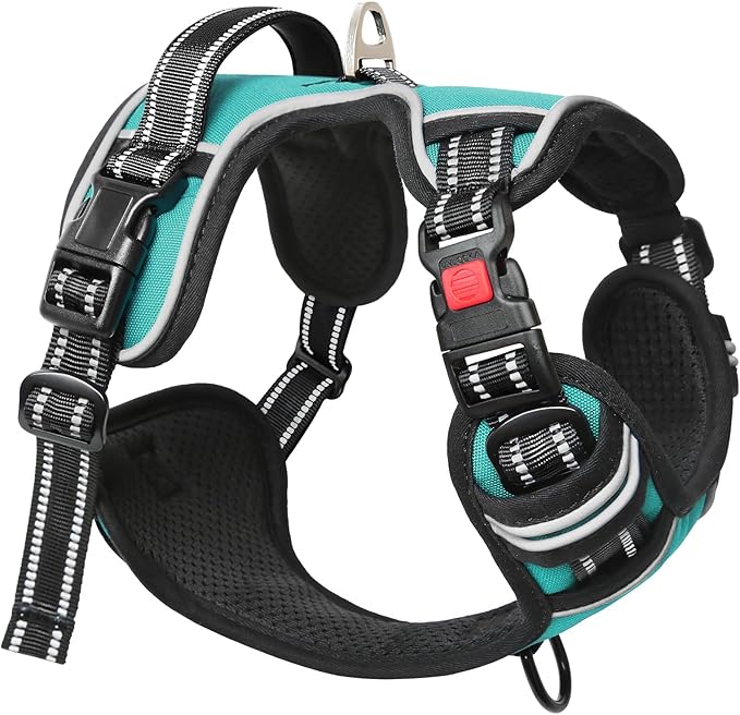 Timos Dog Harness, No-Pull Pet Harness with 2 Leash Clips, Adjustable Soft Padded Dog Vest, Reflective Outdoor Pet Oxford Vest with Easy Control Handle Turquoise