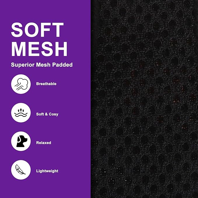 EXPAWLORER Halloween Puppy Harness - Dog Collar and Leash - Soft Mesh Padded Adjustable Step in Small Dog Vest Harness No Pull, Reflective Escape Proof for Outdoor Walking, Purple M