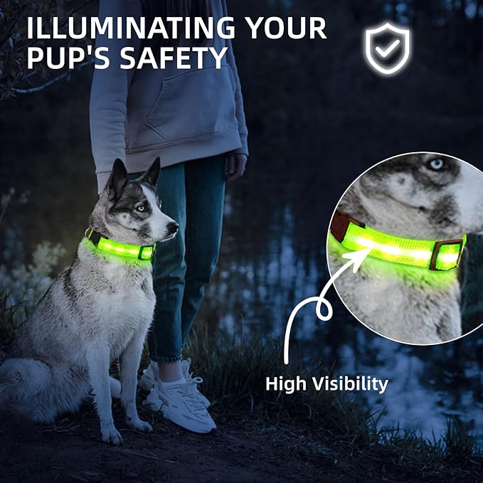 Super Bright LED Dog Collar - Fully Waterproof & Adjustable Glow Collar - USB-C Rechargeable for Night Walking, Safety - Flashing Lighted Collar for Dogs(Green,Small)