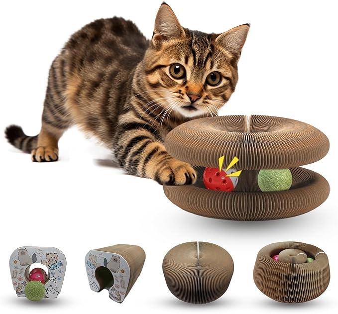 Magic Organ Cat Scratcher Adventure Toy with Bell and Catnip Balls Toys Foldable Recyclable Accordion Kitten Toy Ultimate Interactive Mental & Physical Exercise Cat Toys for Indoor Cats