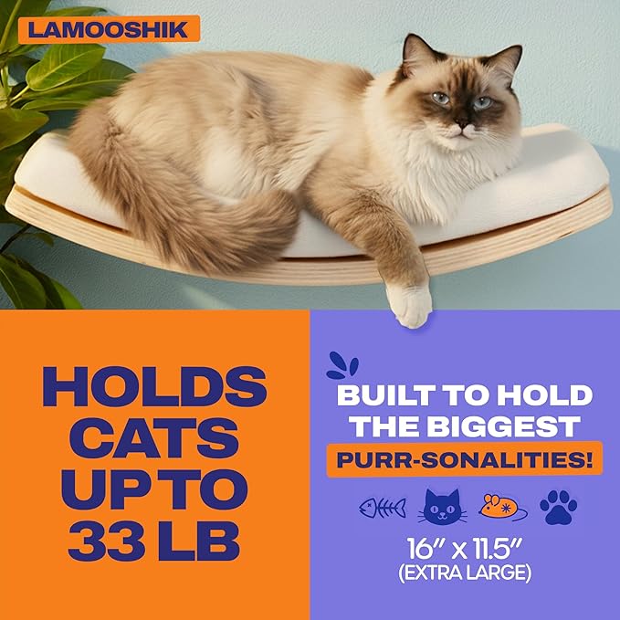 Cat Wall Shelves, Natural Finish – Floating Cat Furniture with Curved Bed & Steps | Modern Minimalist Wood Climbing Shelves Set of 4 for Indoor Cats, Sturdy Wall-Mounted Design