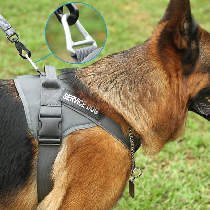 EXCELLENT ELITE SPANKER Tactical Dog Harness Military Patrol Harness No-Pull Service Dog Vest Military Dog Vest Adjustable Training Working Dog Vest with Handle for Medium Large Dogs(Grey-XL)