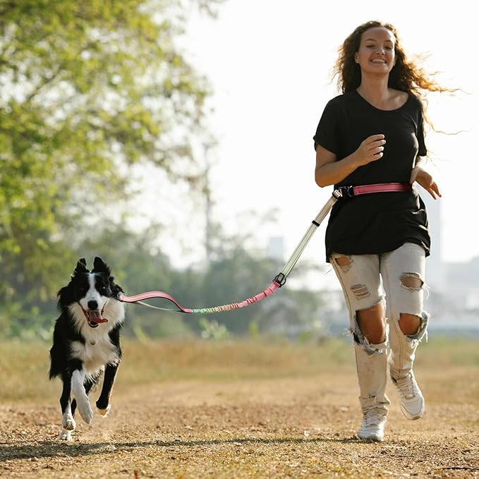 Roses&Poetry Hands Free Dog Leash for Medium Large Dogs Heavy Duty, No Pull Bungee Dog Running Waist Leash for Walking Training with Car Seatbelt 4-6FT