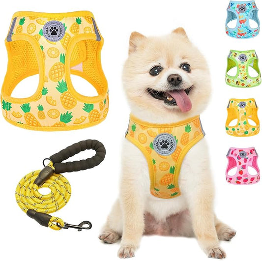 BEAUTYZOO Step in Dog Harness and Leash Set,Reflective Dog Harness No Pull No Choke Puppy Harness for Small Medium Large Dogs Cats,Soft Padded Mesh Vest Harnesses for Girl and Boy Pets, Pineapple M