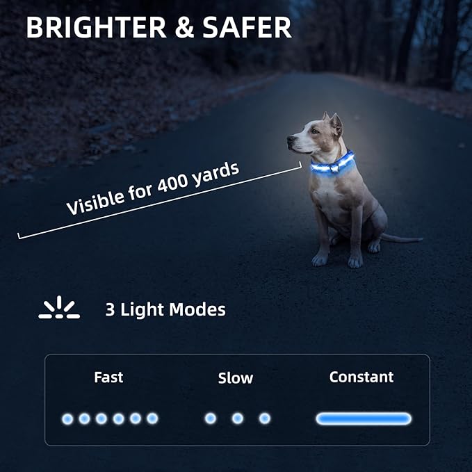 Super Bright LED Dog Collar - Fully Waterproof & Adjustable Glow Collar - USB-C Rechargeable for Night Walking, Safety - Flashing Lighted Collar for Dogs(Blue,Small)