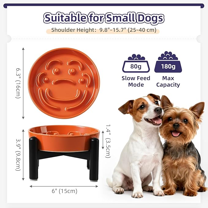 Elevated Slow Feeder Dog Bowl - Ceramic Maze Dog Food Bowl with Stainless Stand - Raised Slow Feeder for Small Breeds to Control Eating Speed - 6.3 Inch - 0.8 Cups (80g) - Orange