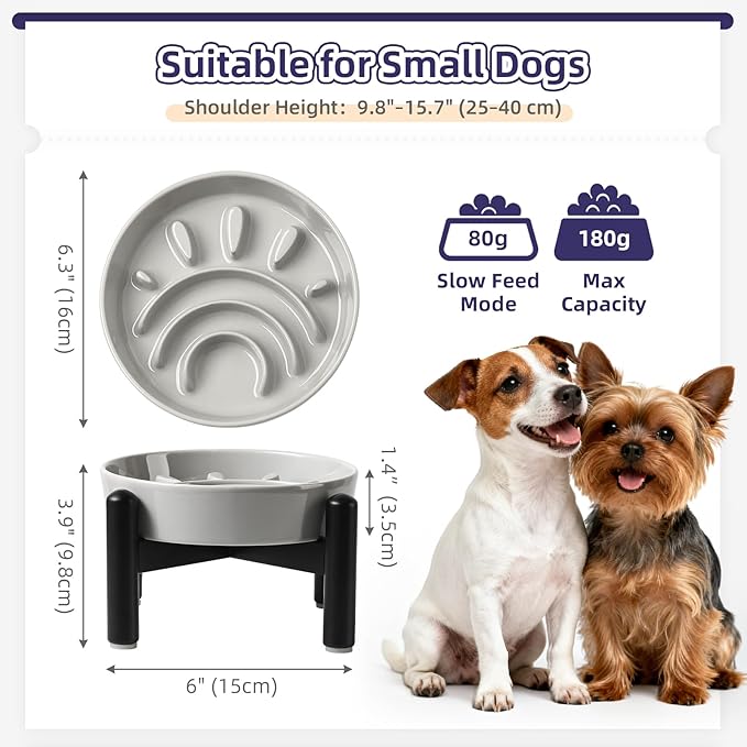 Elevated Slow Feeder Dog Bowl - Ceramic Maze Dog Food Bowl with Stainless Stand - Raised Slow Feeder for Small Breeds to Control Eating Speed - 6.3 Inch - 0.8 Cups (80g) - Grey