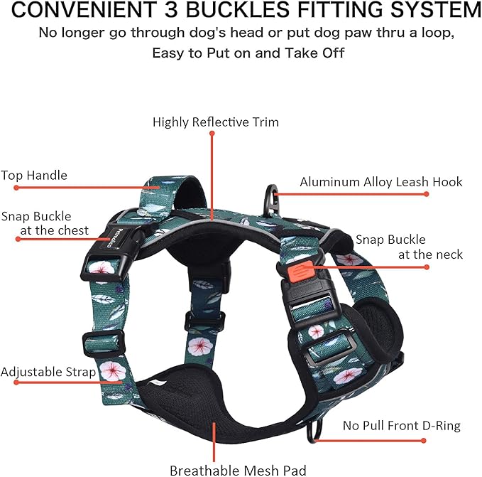 Petmolico No Pull Dog Harness Set with Leash Attachment Easy Control Handle Reflective Harness Vest Small Breed, Puppy Vest and Leash Set with Poop Bag Holder, Small - Green Rhododendron