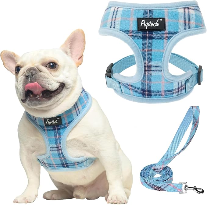PUPTECK Soft Mesh Dog Harness and Leash Set Pet Puppy Cat Comfort Padded Vest No Pull Harnesses, Light Blue, M