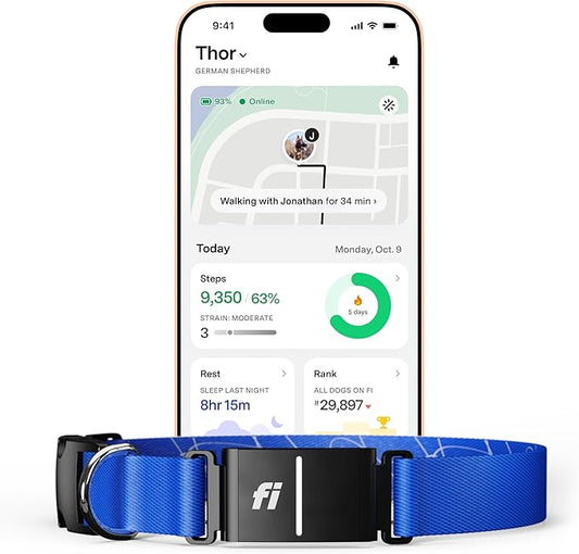 New Fi Series 3+ Smart Dog Collar - GPS Dog Tracker and Activity & New Fitness Monitor, Waterproof, LED Light, Escape Alerts, Nationwide Coverage [Free 6 Month Membership] (Blue, Small)