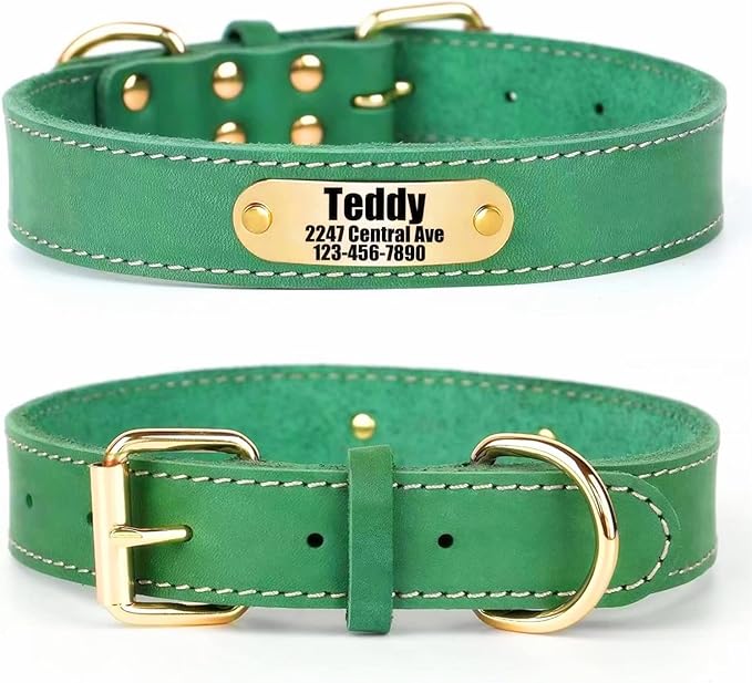 Moonpet Personalized Custom Leather Dog Collar with Engravable Nameplate with Airtag Holder Case- Durable Name Tag Collar - Customizable Dog Collar - Comfortable ID Collars for Medium Dogs-Bluegreen-M