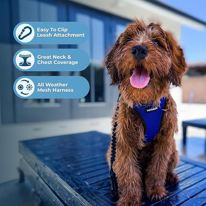 Voyager Step-in Air All Weather Mesh Harness and Reflective Dog 5 ft Leash Combo with Neoprene Handle, for Small, Medium and Large Breed Puppies by Best Pet Supplies - Royal Blue/Black Trim, XX-Small
