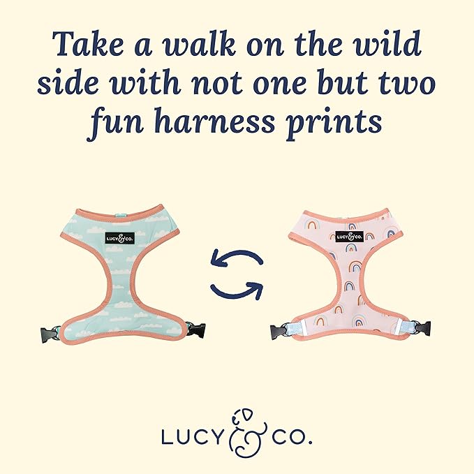 Lucy & Co. in The Clouds, Cute Reversible Dog Harness Walking Halter - Best Designer Pet Harnesses for Medium Dogs - Padded Adjustable Vest for Easy Walking (Medium)