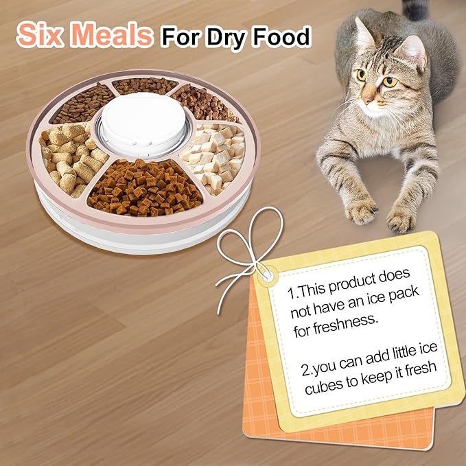 Automatic Cat Feeder for Dry Food,Supplement & Treats， 6 Compartment Timed Cat Food Dispenser for Cats and Small Dogs，No Ice Needed Automatic Dog Feeder (Pink)