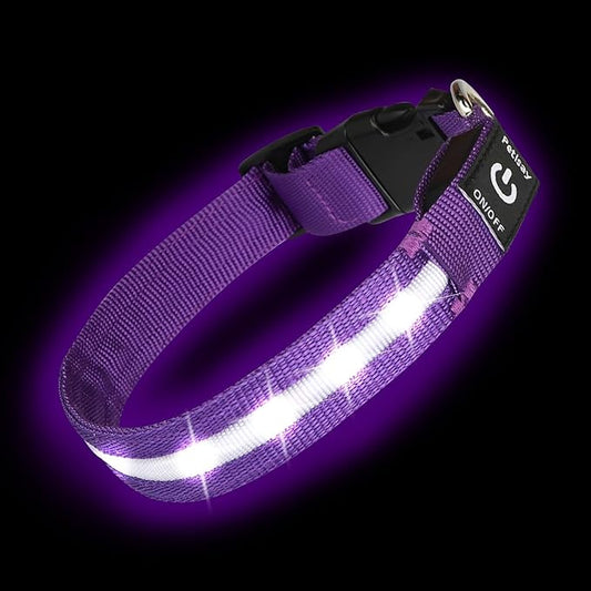 Super Bright LED Dog Collar - Fully Waterproof & Adjustable Glow Collar - USB-C Rechargeable for Night Walking, Safety - Flashing Lighted Collar for Dogs(Purple,Large)