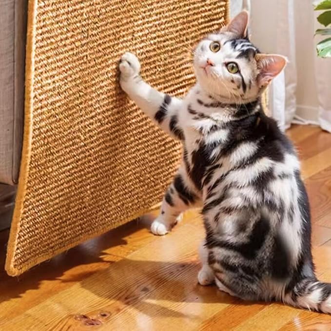 Cat Scratcher Mat, 23.6 X 15.7 Inch,sisal cat scratchers for Indoor Cats,cat Scratch pad,cat Scratching Board,cat Scratching Post,sisal Rug Carpet,cat Scratch Furniture Protector,Brown