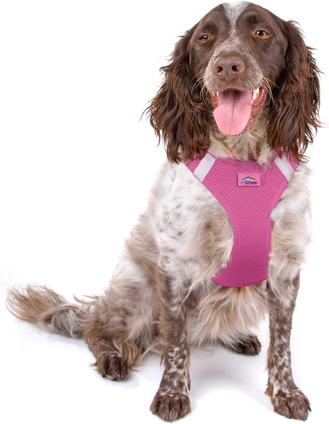 Doggie Design Dog Harness - No Choke Dog Harness, Dog Vest, Mesh Polyester, Pet Harness, Simple Step in and Go Design, Harness for Dog - Candy Pink, 2XL