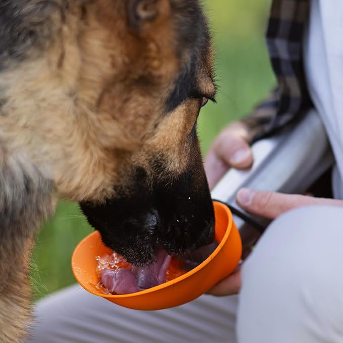 Messy Mutts Double Wall Vacuum Insulated Stainless Steel Travel Water Bottle with Silicone Flip Up Bowl | Pet Travel Necessity | Camping, Hiking, Walking Accessory | 20 oz / 600mL | Orange