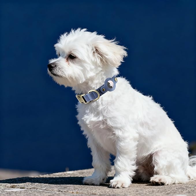 AirTag Dog Collar for Small Dogs Puppy - Soft Leather Dog Collar with Apple AirTag Holder and Metal Buckle - Smart Tracker GPS Apple Air Tag Pet Collars (Navy Blue, S)