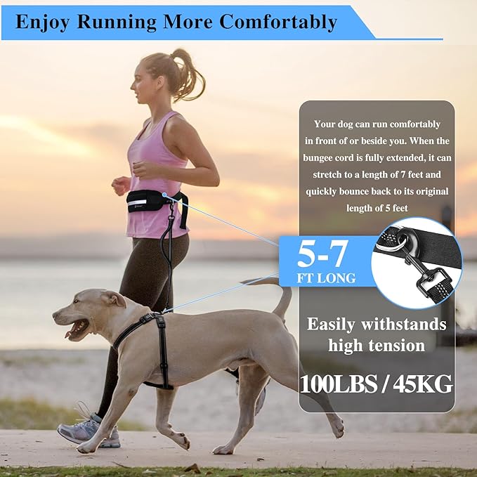Tails & Tales Hands Free Dog Leash with Lightweight Waist Pouch for Walking Running Hiking, Adjustable Belt 25-45", Dual Padded Handles, Reflective Bungee Design for Small to Large 100lb Dogs (Black)