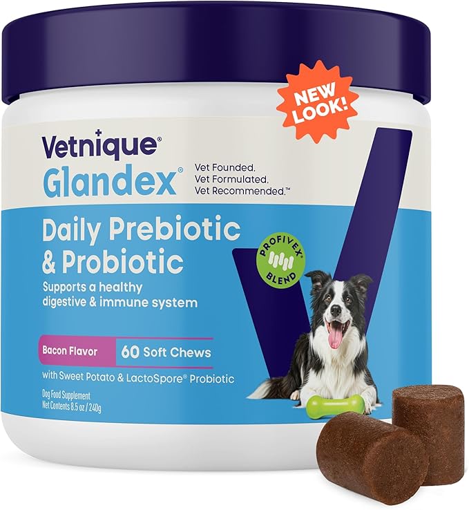 Vetnique Glandex Daily Probiotics for Dogs with Prebiotics to Support Gut Health with Fiber and Digestive Enzymes, Probiotic Chews or Powders (60ct Chews, Bacon Chews)