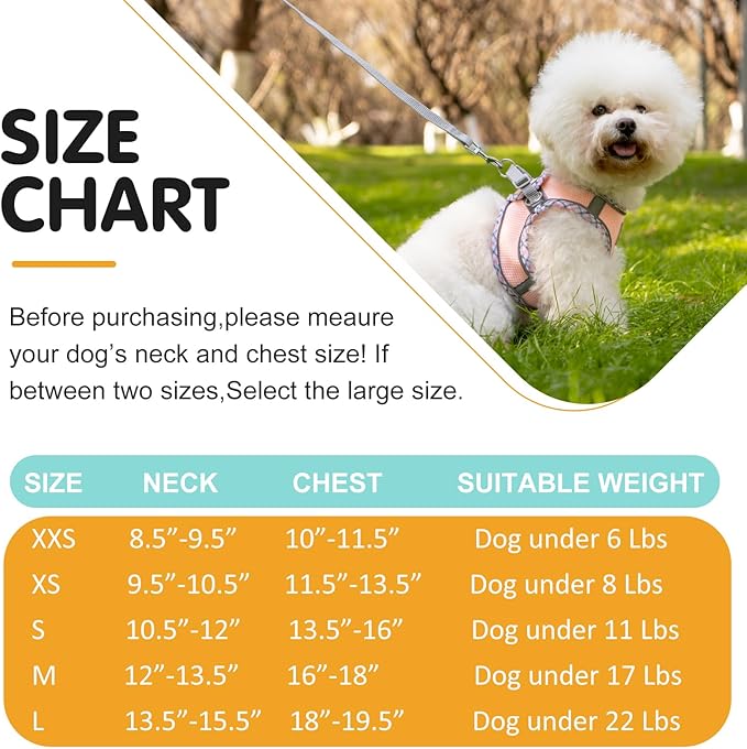 Dog Harness and Leash Set, No Pull Pet Harness for Small Dogs Easy Walking,Soft Breathable Small Dog Harness,Adjustable Reflective Step in Vest Harness for Puppy ,kitten, Cats