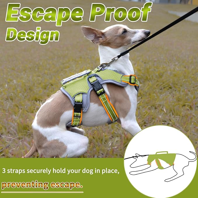 BELPRO Multi-Use Support Dog Harness, Escape Proof No Pull Reflective Adjustable Vest with Durable Handle, Dog Walking Harness for Big/Active Dogs (Green, M)