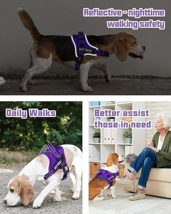 AUROTH Dog Harness and Leash Set, Soft Padded Service Dog Vest with 5.25FT Dog Leash, No Choke, Easy On Pet Vest, Adjustable Reflective No Pull Pet Vest Medium Sized Dog, Easy Walking and Training